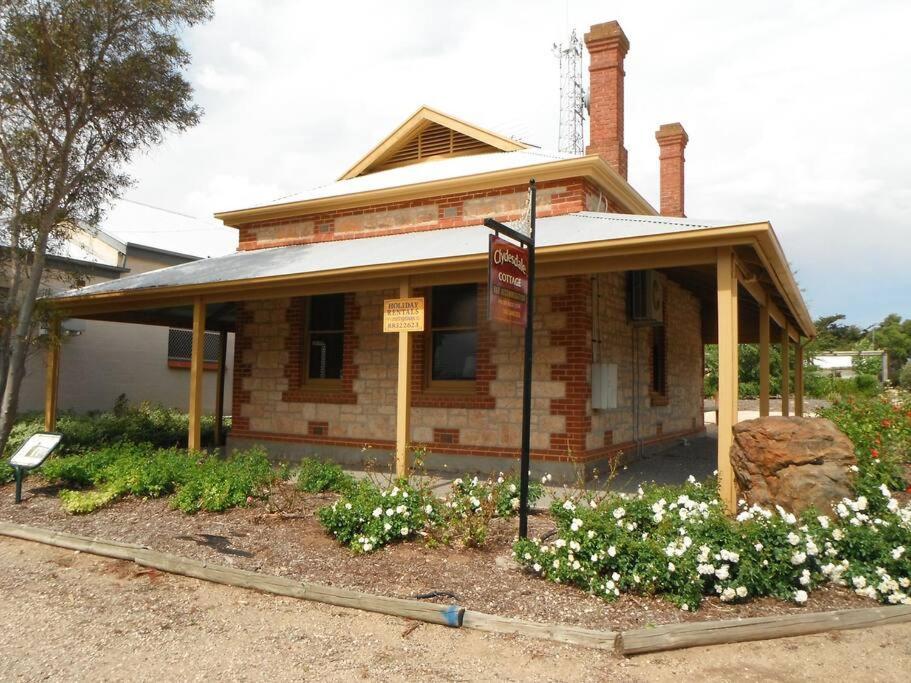 Clydesdale Cottage B&B Maitland Exterior photo